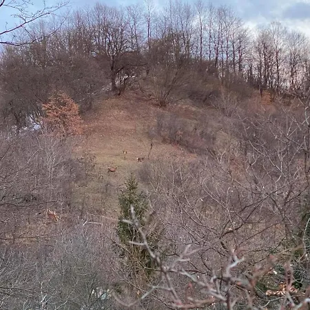 Bauer Vendeghaz Puespoekszentlaszlo Pensjonat 4*