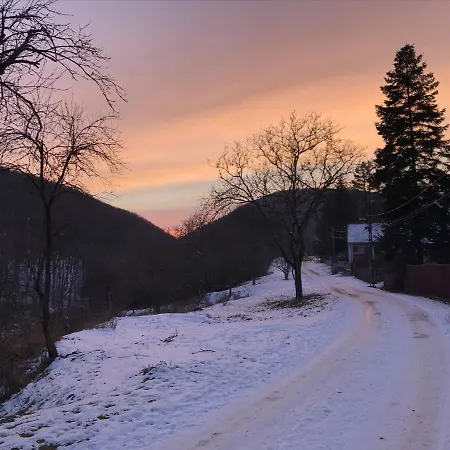 Bauer Vendeghaz Puespoekszentlaszlo Pensjonat 4*