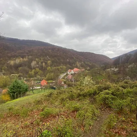 Bauer Vendeghaz Puespoekszentlaszlo Guest house