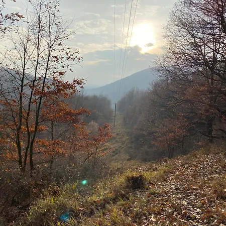 Bauer Vendeghaz Puespoekszentlaszlo Pensjonat