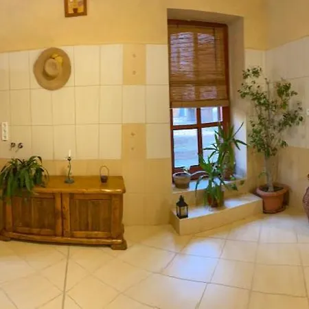 Pensjonat Bauer Vendeghaz Puespoekszentlaszlo Hosszuheteny