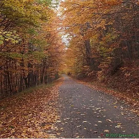 Bauer Vendeghaz Puespoekszentlaszlo Hosszuheteny
