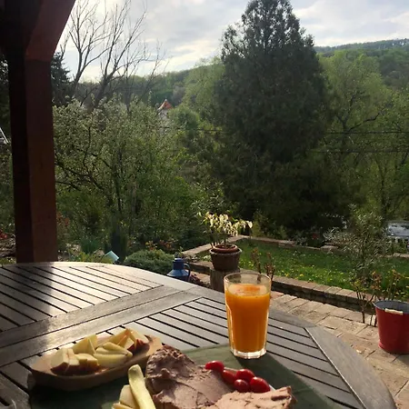 Bauer Vendeghaz Puespoekszentlaszlo Pensjonat Hosszuheteny