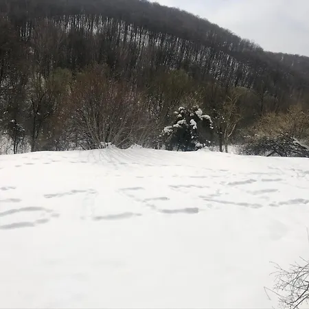 Bauer Vendeghaz Puespoekszentlaszlo Pensjonat Hosszuheteny