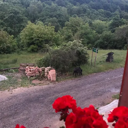 Bauer Vendeghaz Puespoekszentlaszlo 4*