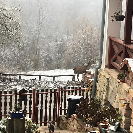 Pensjonat Bauer Vendeghaz Puespoekszentlaszlo 4*