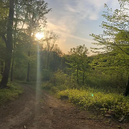 Bauer Vendeghaz Puespoekszentlaszlo Pensjonat