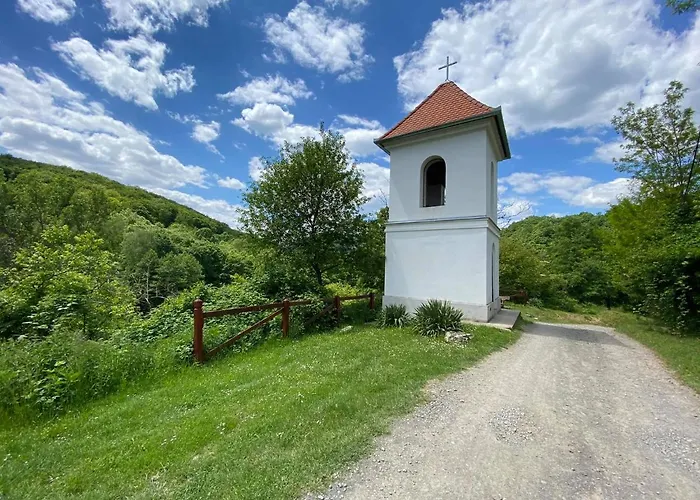 Gasthuis Bauer Vendeghaz Puespoekszentlaszlo 3*