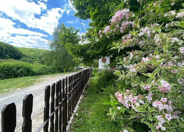 Bauer Vendeghaz Puespoekszentlaszlo Hosszuheteny
