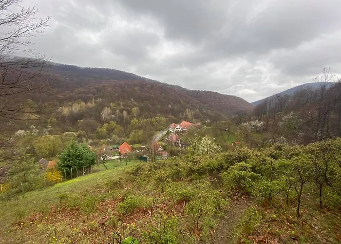 Bauer Vendeghaz Puespoekszentlaszlo Gasthuis