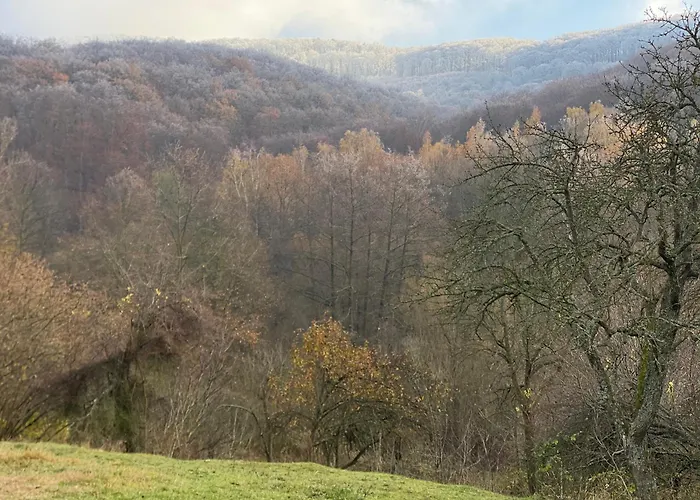 Bauer Vendeghaz Puespoekszentlaszlo 3*