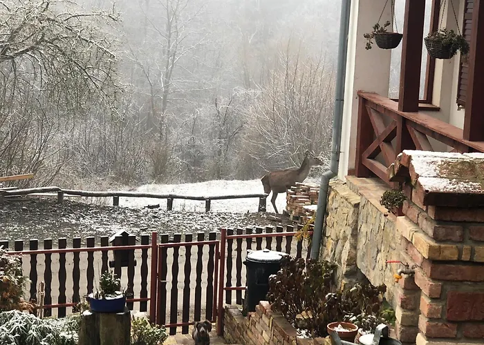 Gasthuis Bauer Vendeghaz Puespoekszentlaszlo 3*